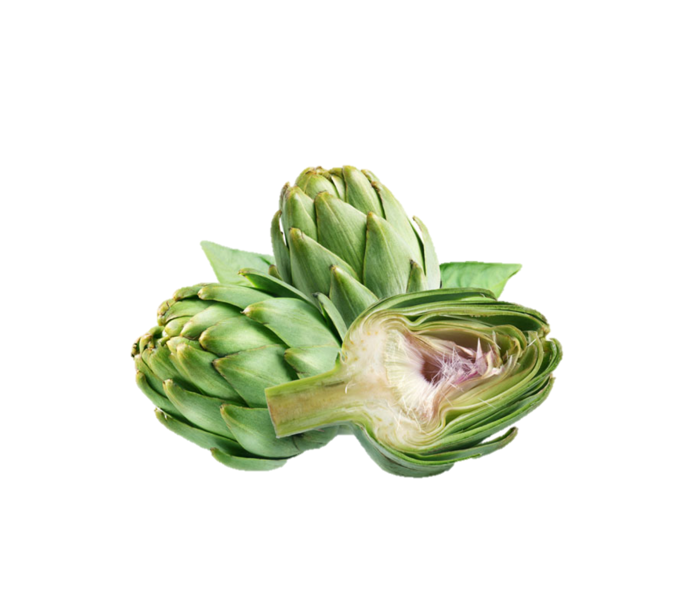 Alcaucil Agoecológico