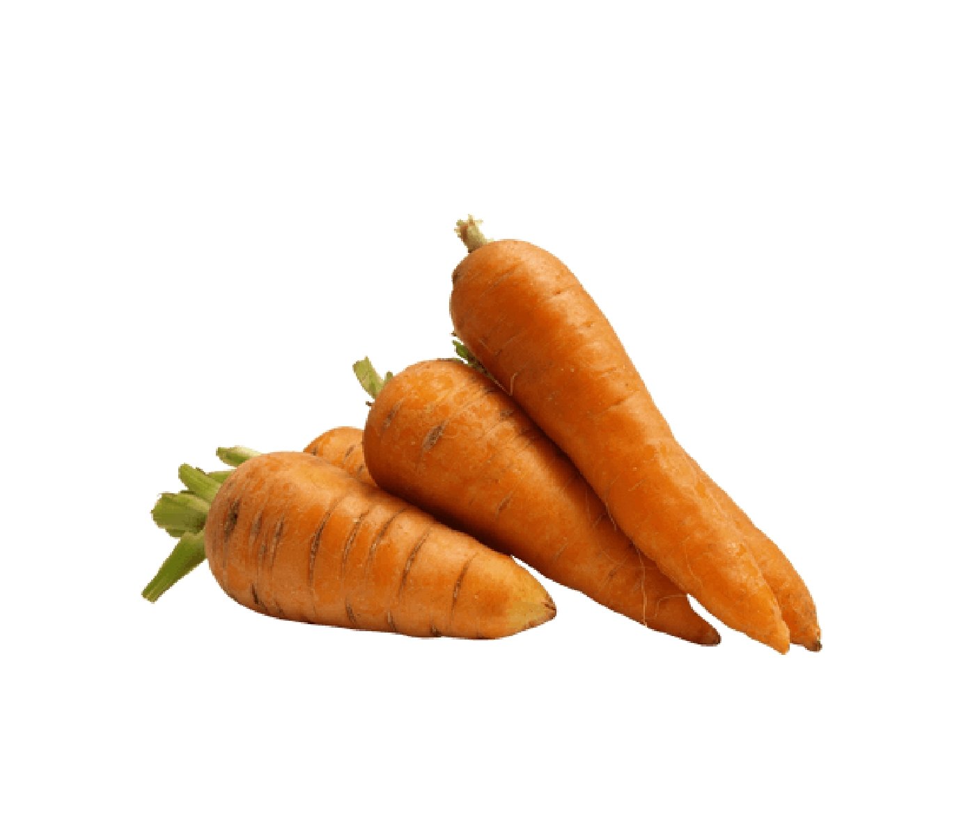 Zanahorias Agroecológicas